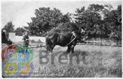 TH\CT\PI\PR\0036_th.jpg; 36; ;